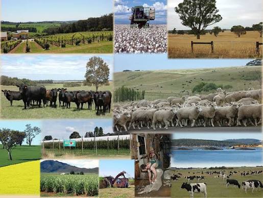 Investir dans l'agropastorale