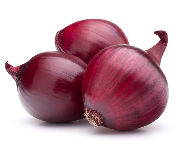 Oignon Violet