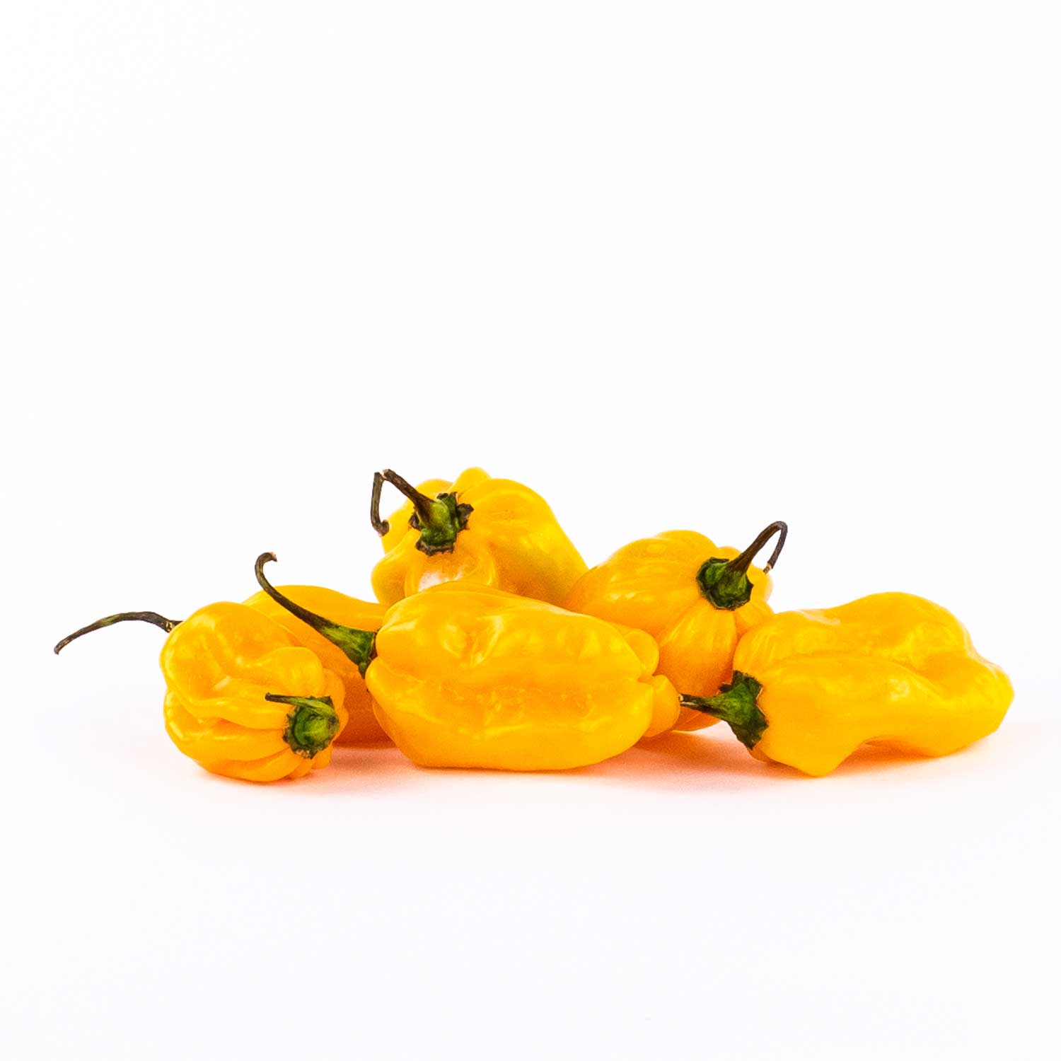 Piment Big Sun