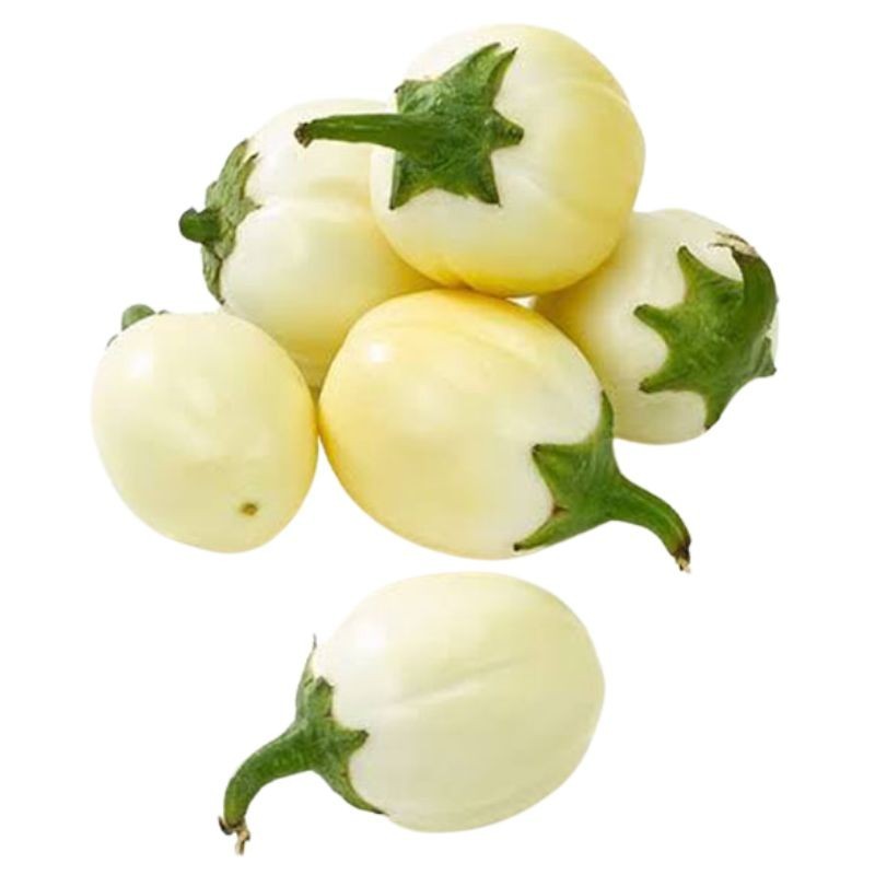 AUBERGINE-FB.jpg