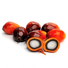 Semences