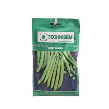 Haricot Vert 2