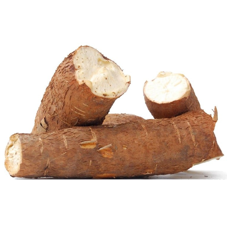 Manioc 1