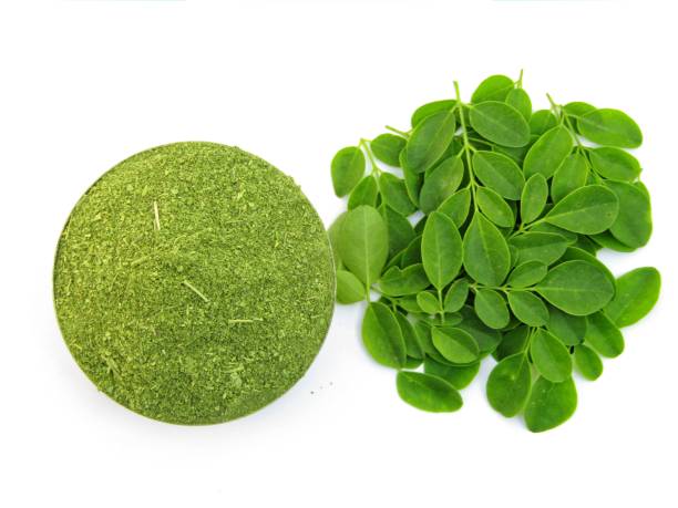 Moringa 1