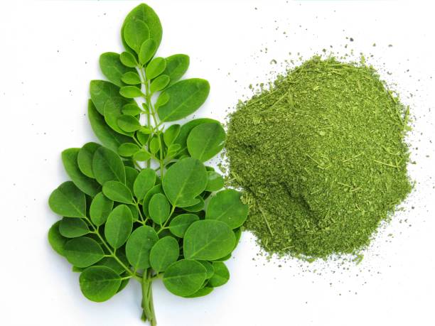 Moringa