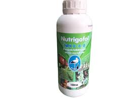 Nutrigofol 3