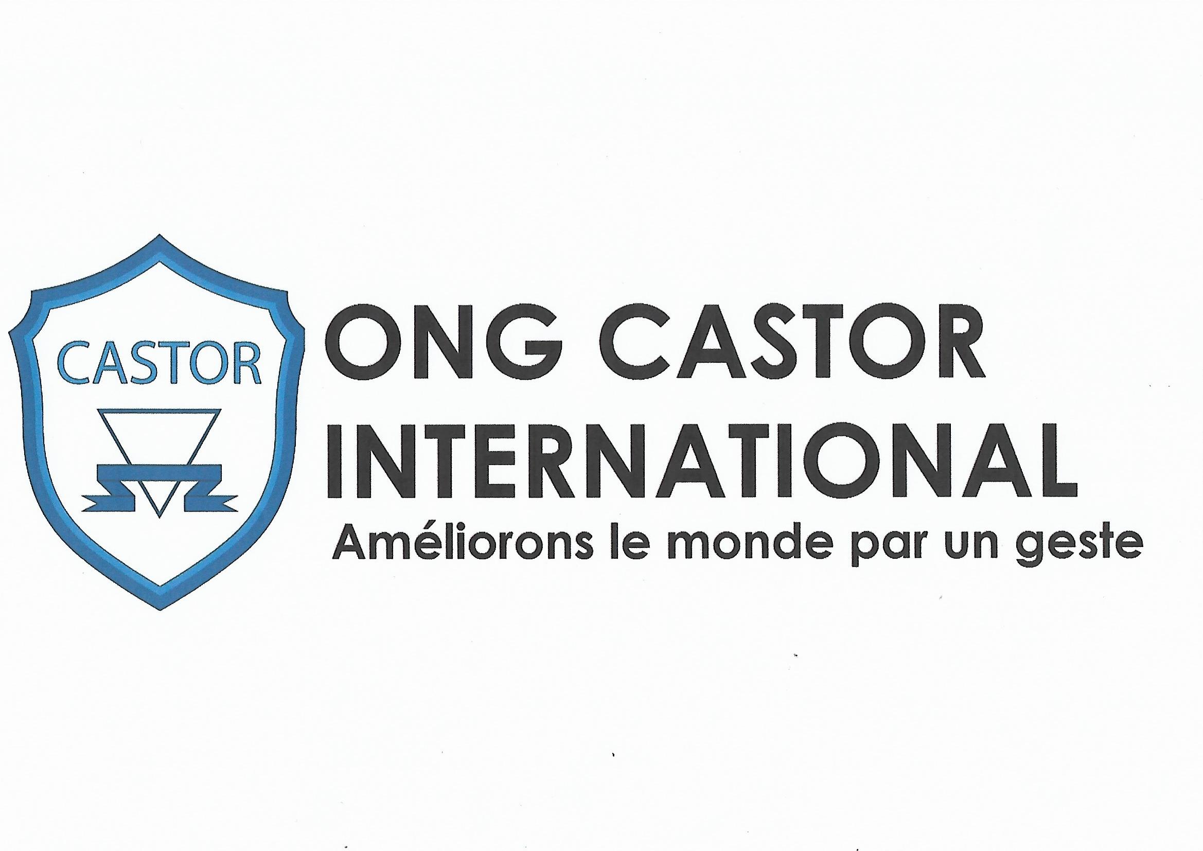 Ong Castor International France