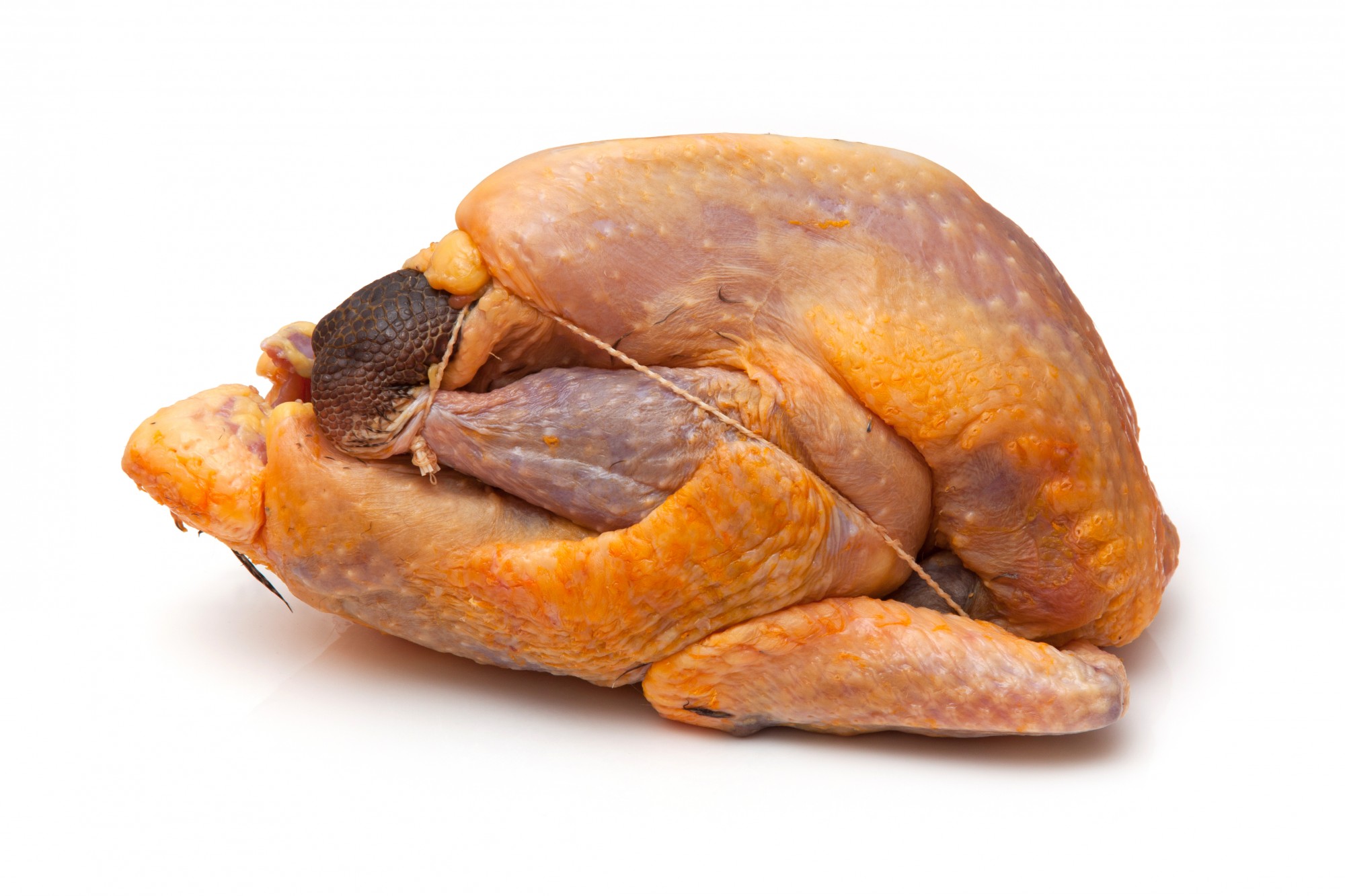 Pintade 2