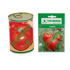 Tomate 1