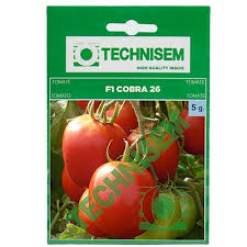 Tomate