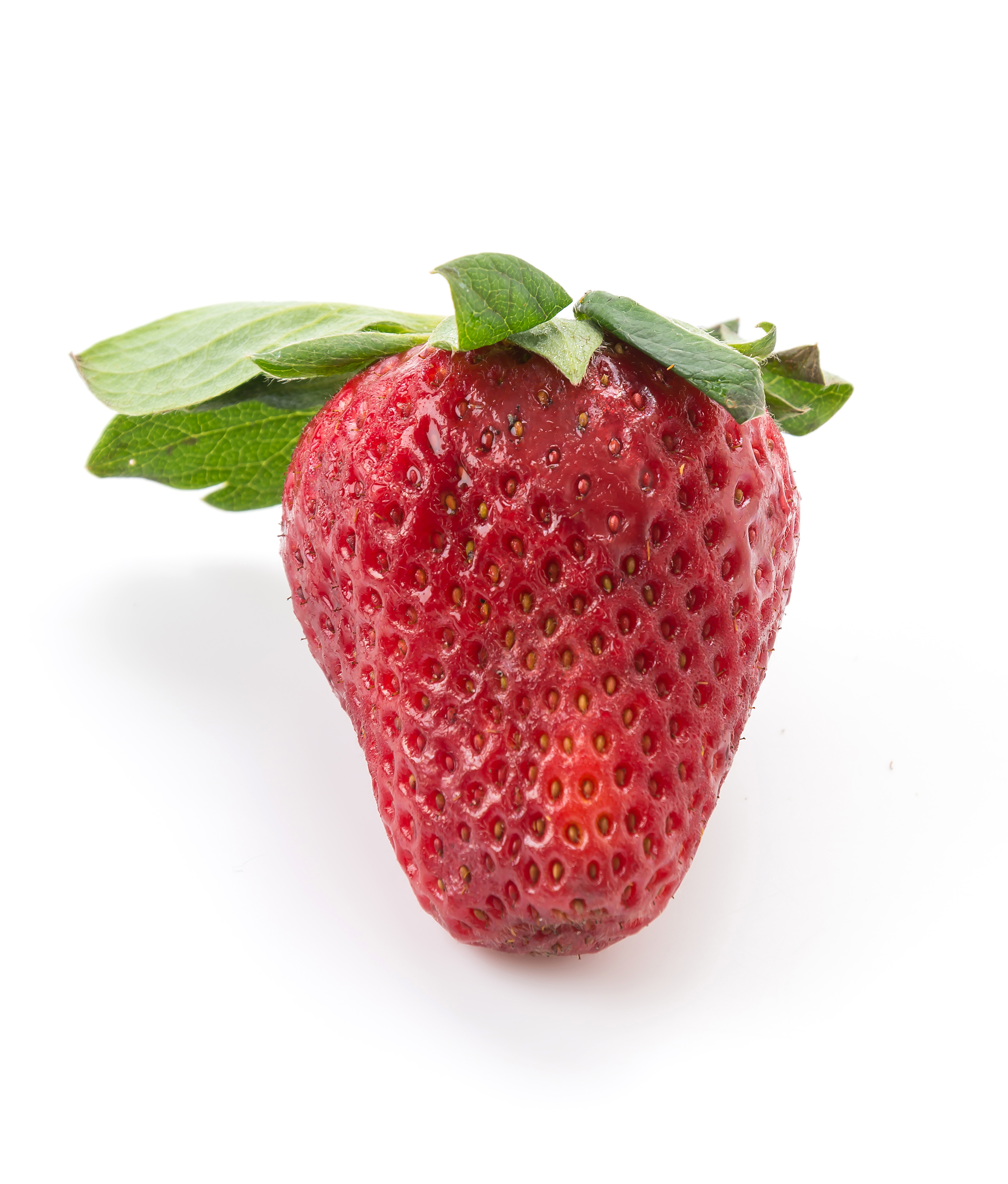 Fraise Fraise