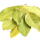 FEUILLE DE  LAURIERS