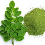 MORINGA POUDRE